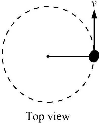 Side view: A pendulum with a 0.4 m string making a 30° angle with the vertical. Top view: A rock moving in a horizontal circle.
